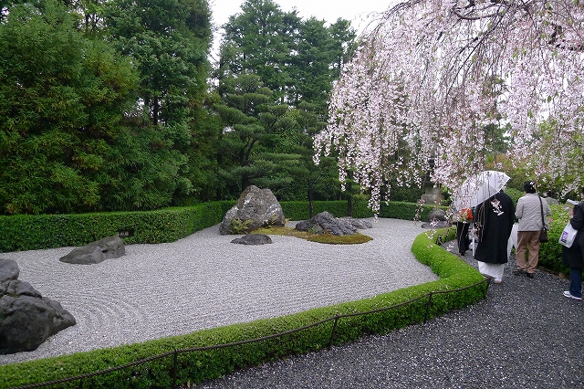 退蔵院　石庭