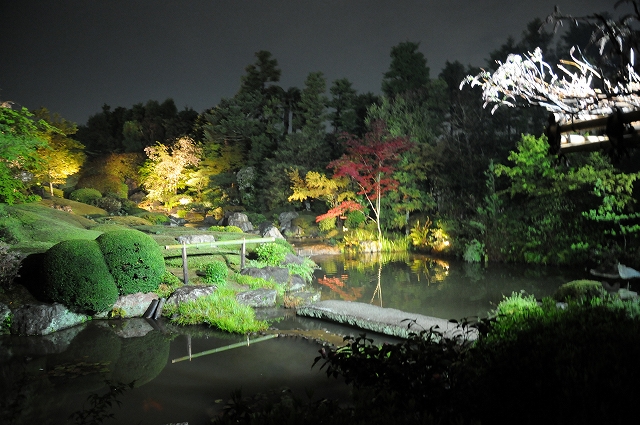 退蔵院の庭園（ライトアップ）